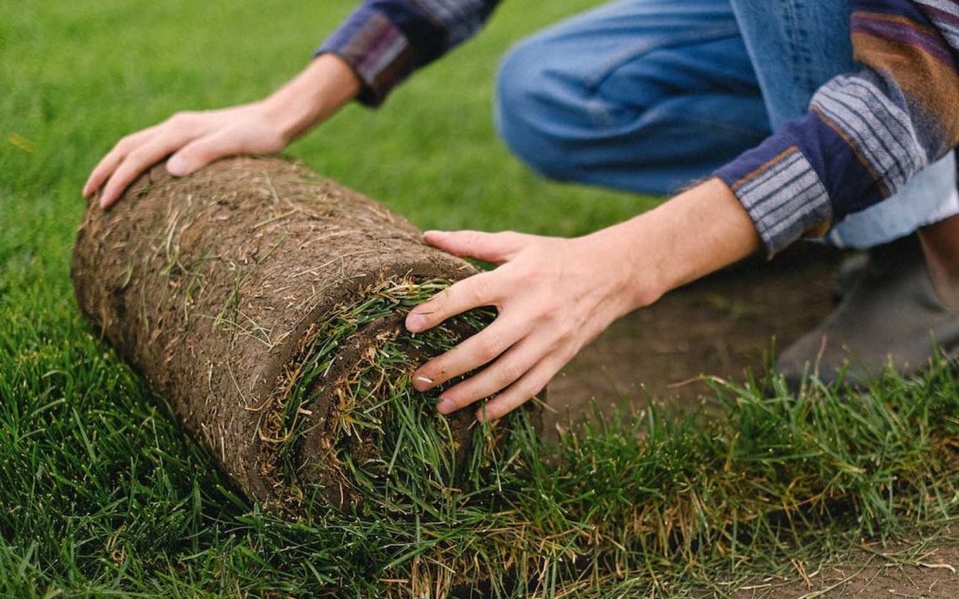turfing